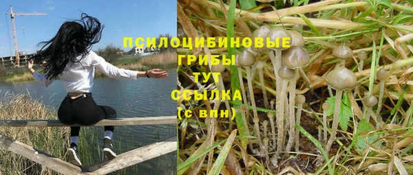 jwh Алзамай