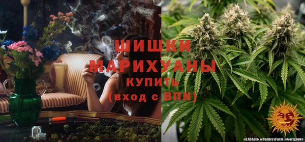 jwh Алзамай