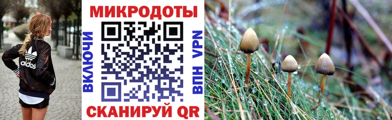 наркотики  Кемь  Псилоцибиновые грибы прущие грибы 